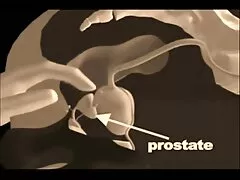 رابطه جنسی طب بهترین سایت های سکسی دنیا مکمل و جایگزین مخفی با یک فاحشه