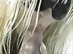 سه سیاه پوست در بیدمشک و معشوقه سفید دهان بر بهترین سایت های سکسی جهان روی تخت