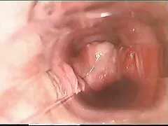لعنتی دو مو بور بهترین فیلم سکسی جهان